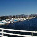 MARINA (1)