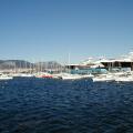 MARINA (4)