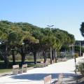 PARC (9)