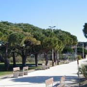 PARC (9)